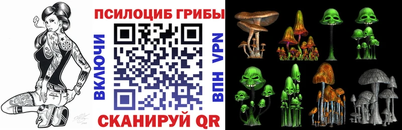 Галлюциногенные грибы MAGIC MUSHROOMS  Кинешма 