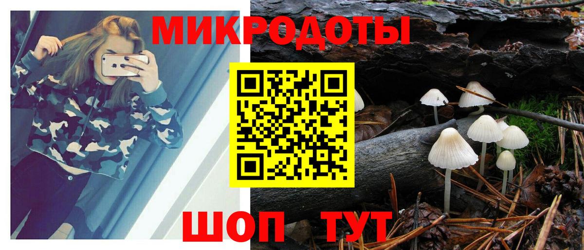 Псилоцибиновые грибы мицелий Кинешма