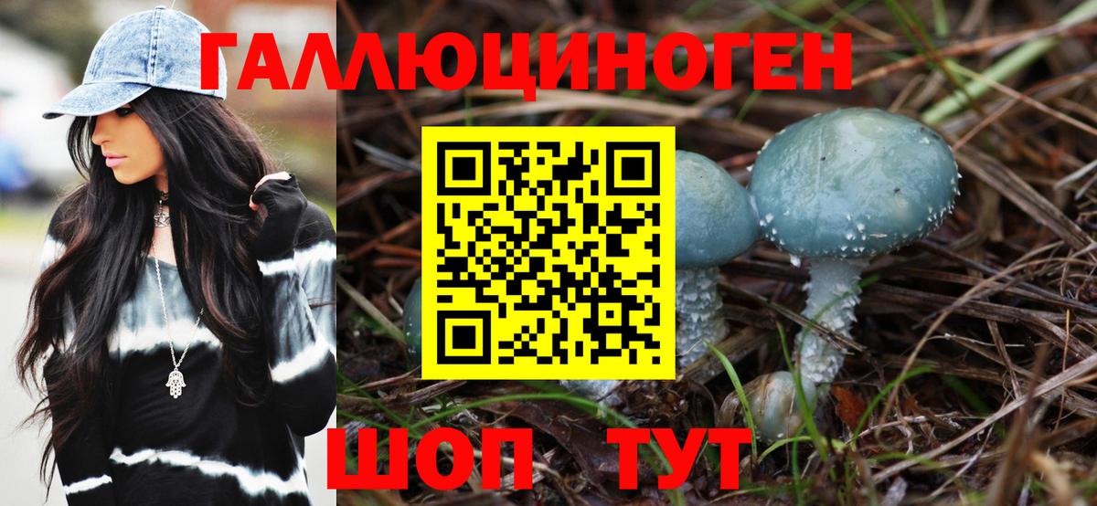 Галлюциногенные грибы мухоморы  Вход с VPN  Кинешма  Галлюциногенные грибы Psilocybe 
